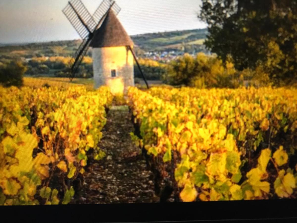 Maison M On The Dordogne ساينت فوي لا-غرانده المظهر الخارجي الصورة