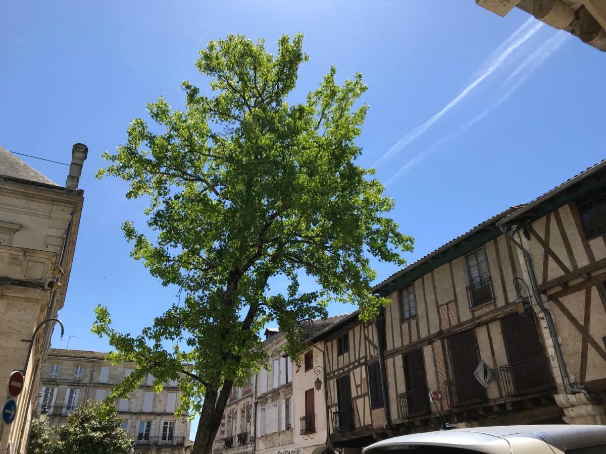 Maison M On The Dordogne ساينت فوي لا-غرانده المظهر الخارجي الصورة